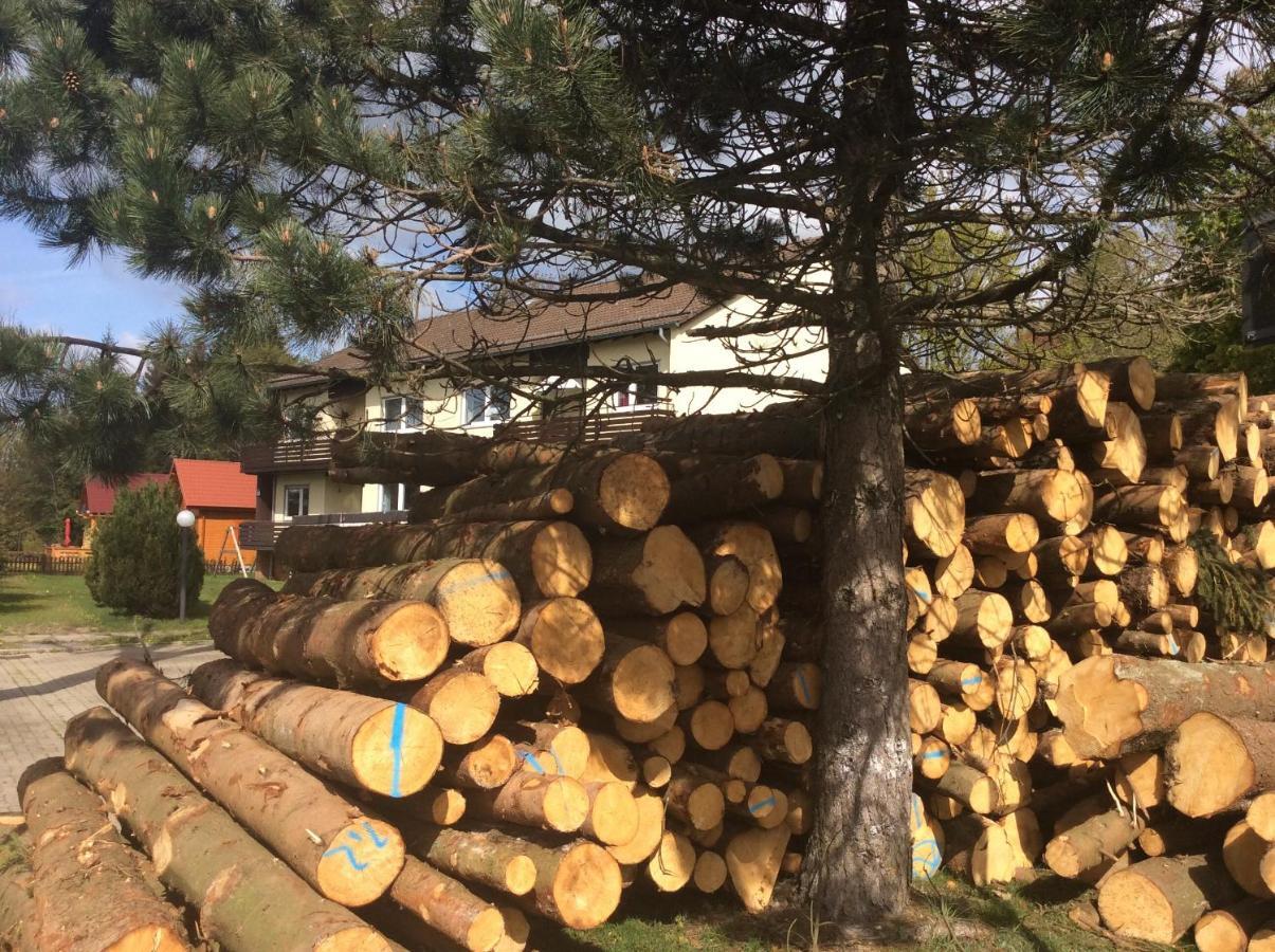 Ferienwohnung Harzblick 2 Braunlage Ngoại thất bức ảnh